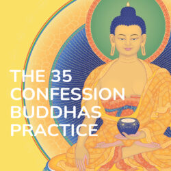 35 Confession Buddhas Practice, purification practice, purify negative karma, receive blessings, prostrations