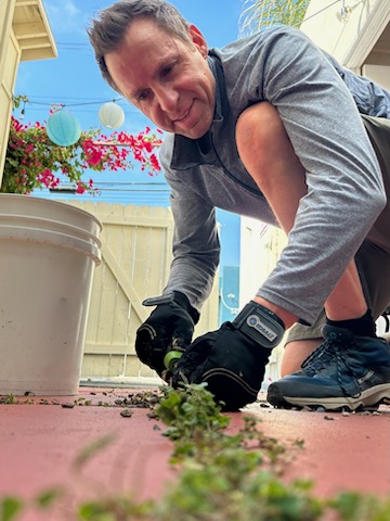 gardening