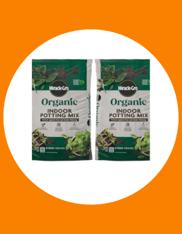 potting soil meditation patio