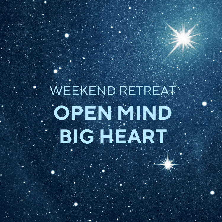 love compassion joy Buddhist tradition Four Immeasurables Immeasurable Love, Immeasurable Compassion, Immeasurable Joy, and Immeasurable Equanimity