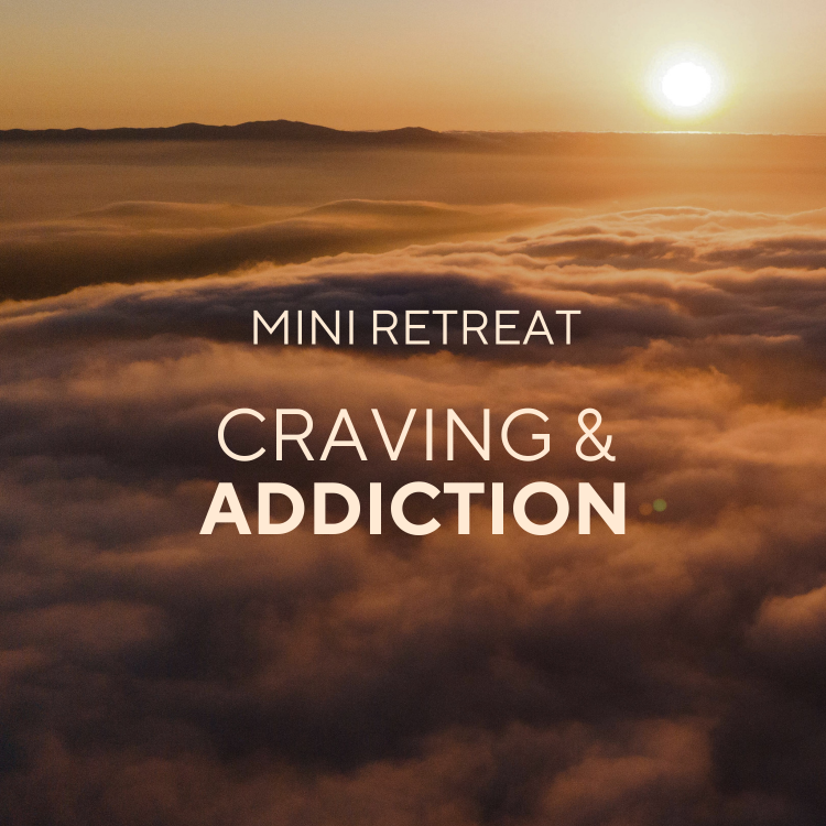 learn to meditate hermosa beach meditation south bay manhattan beach redondo beach el segundo buddhist california modern buddhism, addiction, craving, attachment, substance abuse,