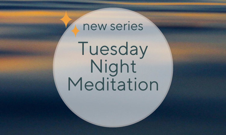 TUESDAY CLASS, meaningful life, meditation, hermosa beach, meditate, manhattan beach, redondo beach, peace, loving kindness