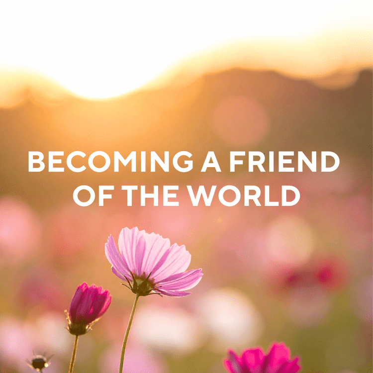 becoming a frined of the world, love, equanimity, giving, moral discipline, patience, effort, concentration, wisdom, awareness, mindfulness, breathwork, meditation, hermosa beach, beach cities, south bay, meditate, buddhism